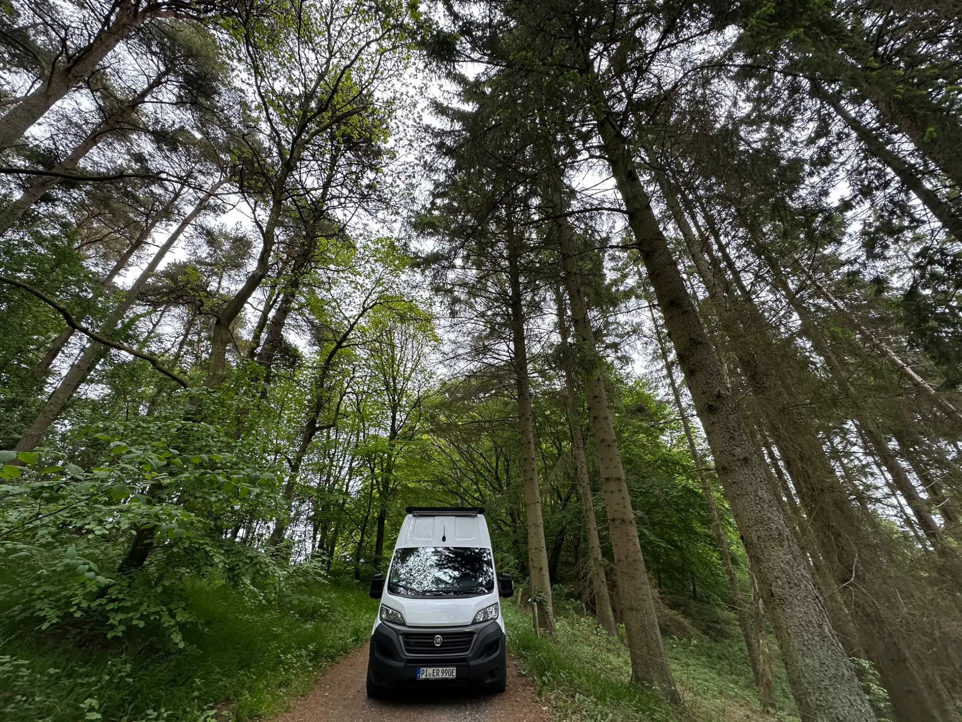 E-Camper mit viel Stauraum + großer PV-Anlage #2